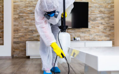 Kártevőirtó tanfolyam: miért van rá nagy szükség most?